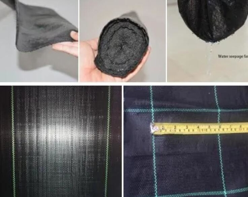 Giá cạnh tranh Vải chống cỏ - UV ổn định phim phủ mặt đất cảnh quan màu đen