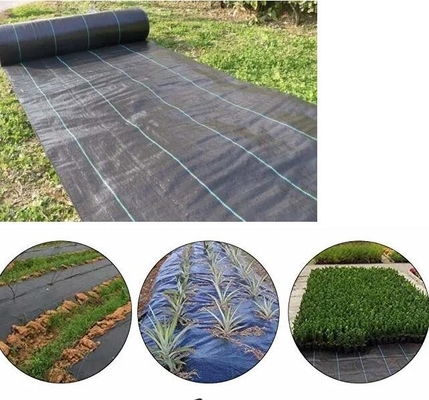 PP với độ thấm cao UV Đen và xanh chống cỏ thảm dệt nông nghiệp