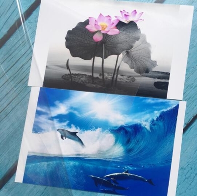 Laser Colorful Car Film, Pvc tự dán chữ viết bằng laser Miếng dán xe hơi, Miếng dán ngay lập tức bằng nhôm