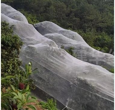 Mạng chống chim nhựa PE mở rộng dày nhà kính lưới nuôi trồng nông nghiệp vườn nho lưới chống côn trùng
