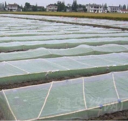Xanh tùy chỉnh bọ côn trùng bảo vệ lưới cây trồng cho cây trái cây vườn rau nhà máy nhà