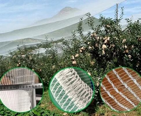 100% PE Màu trắng minh bạch Nhà kính chống côn trùng lưới cho cây và nho