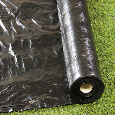 Silver Black 25um/30um/35um UV Mulch Film nhựa cho nông nghiệp