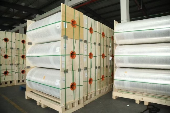 Mẫu phim nhựa nhôm CPP mạnh mẽ cho mì ngay lập tức, khoai tây chiên, bánh quy