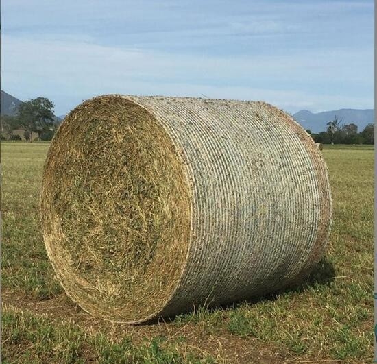 PE Nhựa nông nghiệp tròn bắp bale lưới nhựa nhựa nhựa nhựa nhựa nhựa